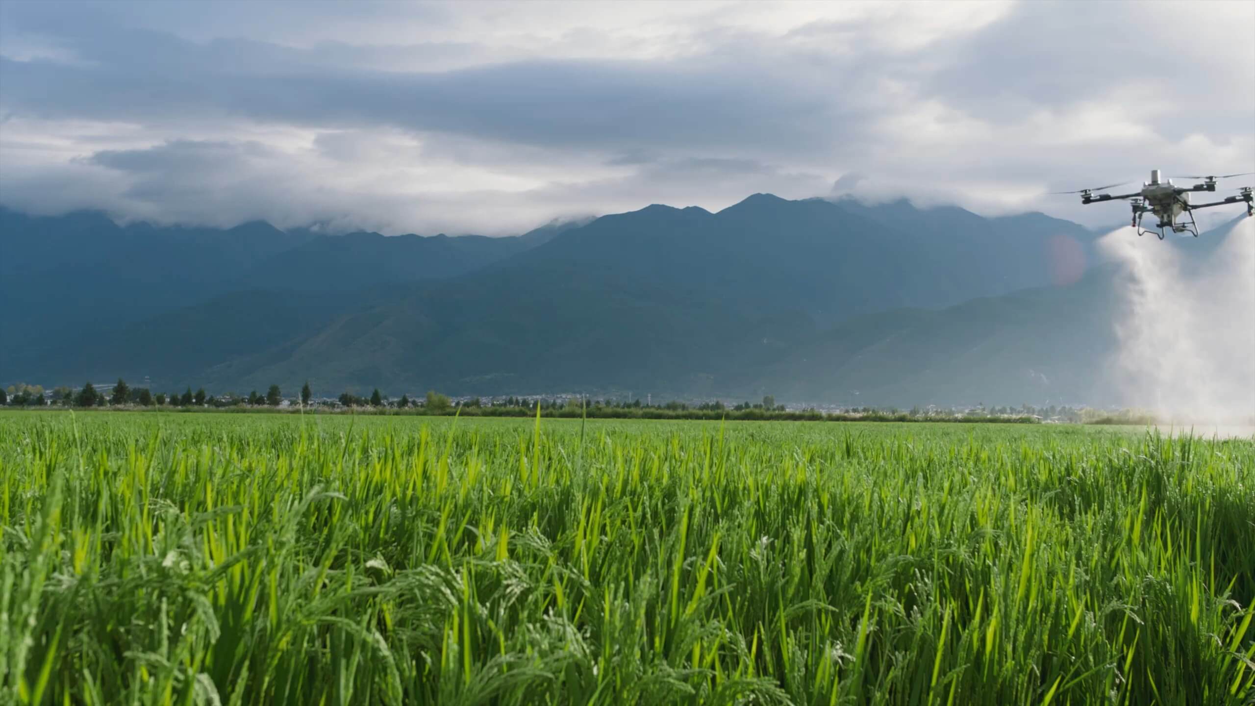 DJI AGRAS T70P